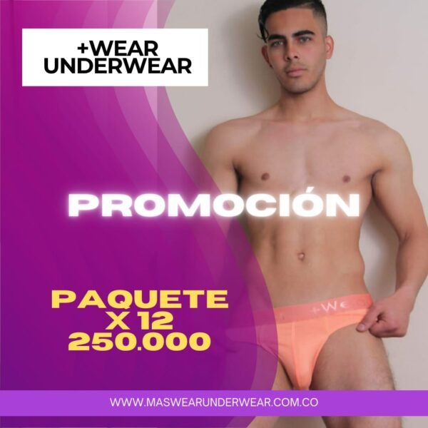 Paquete Brief Clásico x 12