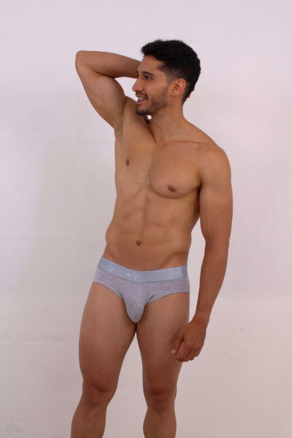 Brief Clásico Gris