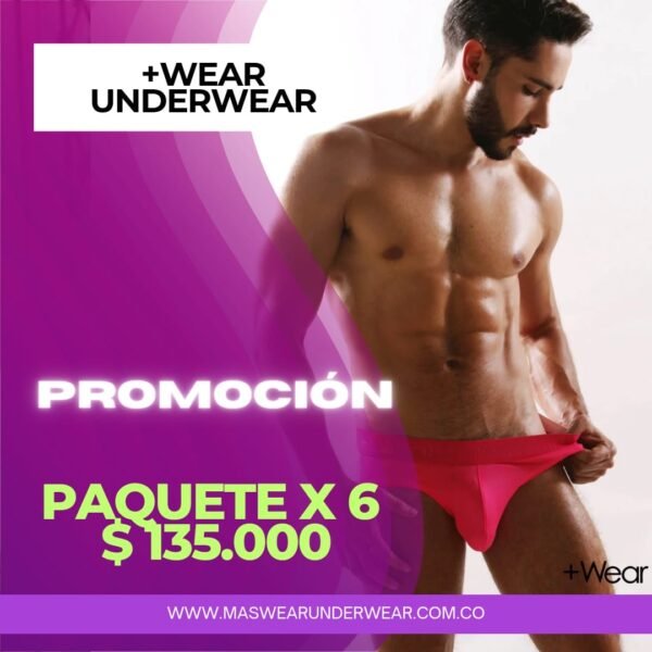 Paquete Brief Clásico x 6